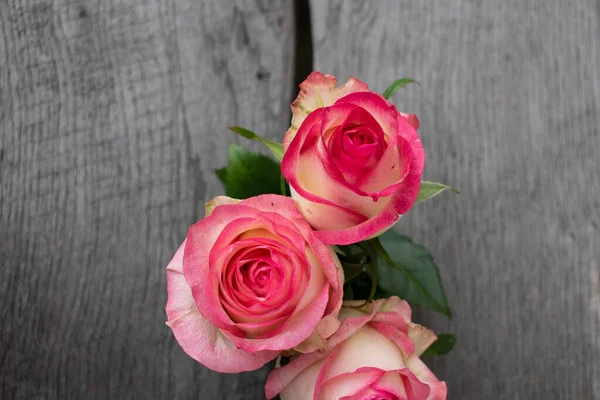 Kırsal bir arka planda üç pembe gül. Gri ahşap arka planda güller