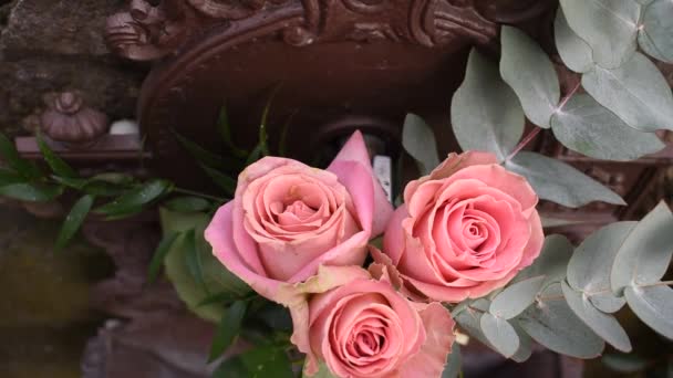 Różowe Róże Ogrodzie Wiatr Róże Kwiat Kwiat Zielonym Tle Nastrój — Wideo stockowe