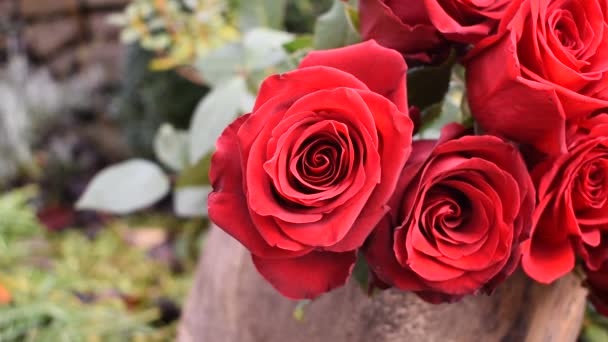 Rode Rozen Tuin Een Briesje Rozen Bloeien Een Groene Achtergrond — Stockvideo