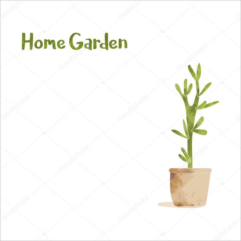 Minimalist vector illustration of spring home plant in pot plant with 
