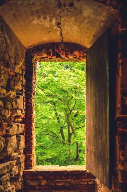 Kalenin harabelerindeki yeşil ağaçlara bakan pencere. Babice, Polonya 'daki eski Lipowiec kalesi.
