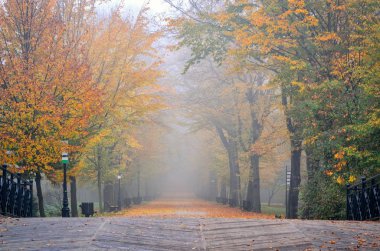 Güzel sonbahar manzarası. Parkta sonbahar renkli yaprakları olan yürüyüş yolu.