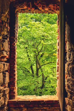Kalenin harabelerindeki yeşil ağaçlara bakan pencere. Babice, Polonya 'daki eski Lipowiec kalesi.