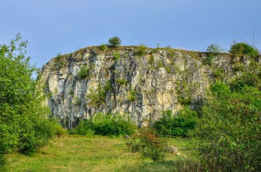 Güzel bir yaz manzarası. Polonya 'nın Krakow kentindeki Zakrzowek gölündeki Twardowski Kayaları.