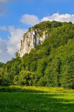 Güneşli yaz manzarası. Polonya 'daki güzel yeşil Jurassic vadisi.