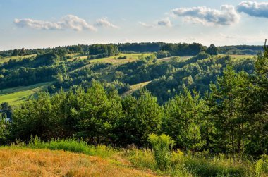 Doğal yeşil yaz manzarası. Polonya 'daki güzel Jurasik vadisi.