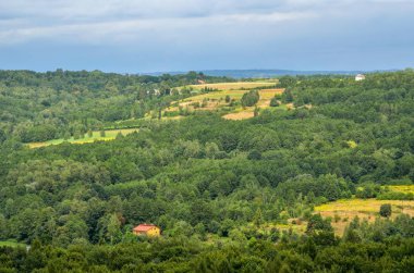 Yazın kırsal alan. Yeşil tepelerin arasında kırsalda evler.