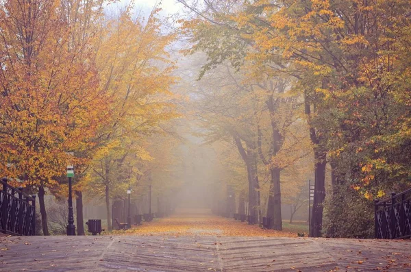 Beautiful Autumn Landscape Walkway Autumn Colored Leaves Park — Stock Photo, Image