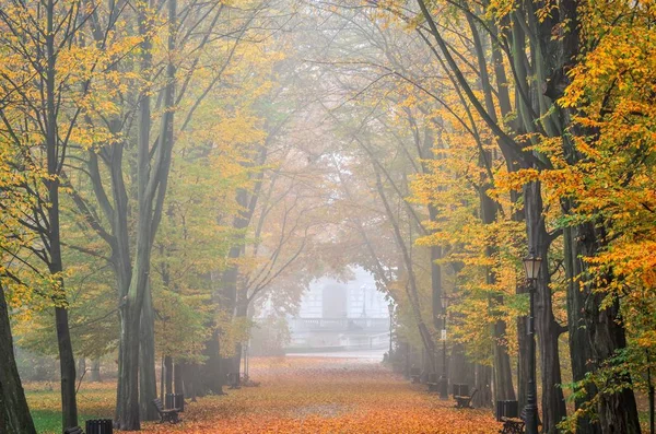 Beautiful Autumn Landscape Walkway Autumn Colored Leaves Park — 스톡 사진