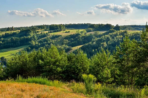 Природный Зеленый Летний Пейзаж Красивая Долина Юрского Периода Польше — стоковое фото