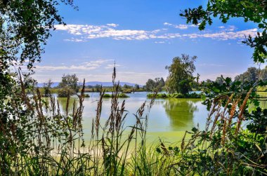 Sunny summer landscape. Beautiful pond in the countryside with mountains in the background.