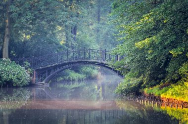 Sabah Green Park 'ta. Polonya, Pszczyna 'da güzel bir parkta köprü..
