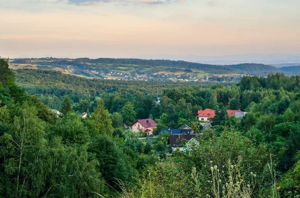 Letni Wiejski Krajobraz Widok Ruin Zamku Tenczyn Rudnie Polska — Zdjęcie stockowe