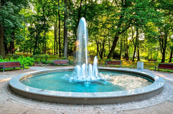 Nice Fountain Urban Park Green Park City Chrzanow Poland — Stock Photo, Image