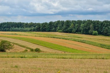 Kırsal yaz manzarası. Bulutlu yaz manzaralı tepeler.