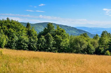 Summer mountain landscape. Beautiful green hills on a sunny day.