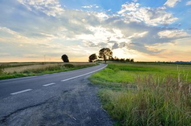 Yaz akşamı manzarası. Asphalt sokağı akşam tarlaları arasında..