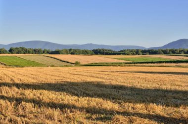 Yaz dağı manzarası. Tarlalar ve güzel dağ zirveleri..