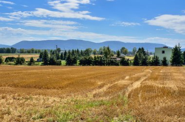 Yaz dağı manzarası. Tarlalar ve güzel dağ zirveleri..