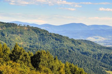 Summer mountain landscape. Beautiful green hills on a sunny day.