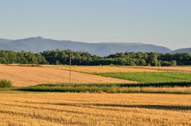 Yaz dağı manzarası. Tarlalar ve güzel dağ zirveleri..
