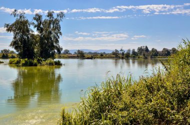 Sunny summer landscape. Beautiful pond in the countryside with mountains in the background.