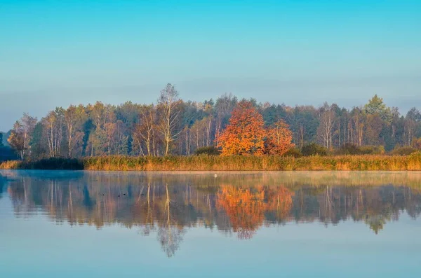 Prachtig Herfstlandschap Kleurrijke Bomen Bij Het Meer — Stockfoto