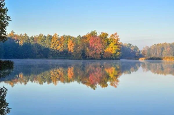 Красивый Осенний Пейзаж Цветные Деревья Озера — стоковое фото