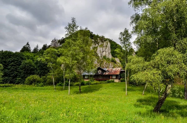 Зеленый Сельский Пейзаж Старый Дом Ойцовой Долине Польша — стоковое фото