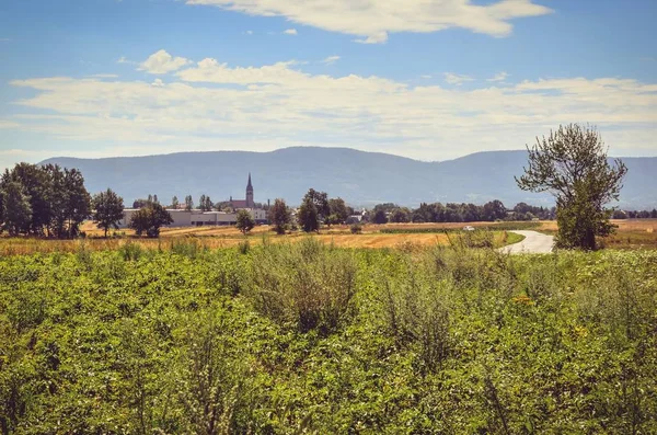 Zomer Landelijke Landschap Platteland Polen Tegen Achtergrond Van Prachtige Heuvels — Stockfoto