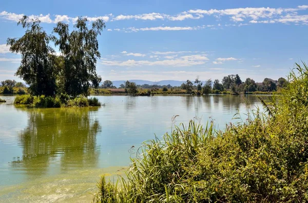 阳光明媚的夏季风景 美丽的池塘在农村 背后是高山 — 图库照片