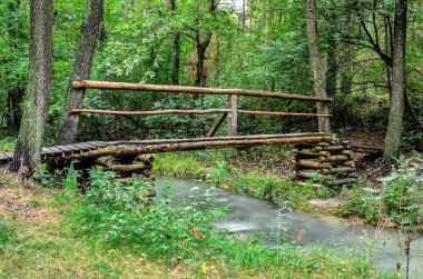 Güzel mavi nehir. Güzel yeşil bir orman manzarasında, nehrin üzerinde tahta bir köprü..