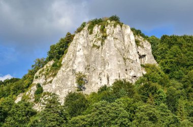 Güneşli yaz manzarası. Polonya 'daki güzel yeşil Jurassic vadisi.