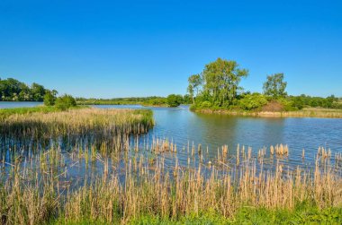 Güzel kırsal alan. Güzel bir gölette bahar günü.
