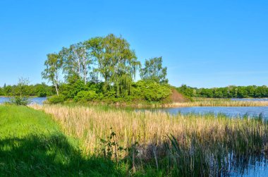 Güzel kırsal alan. Güzel bir gölette bahar günü.