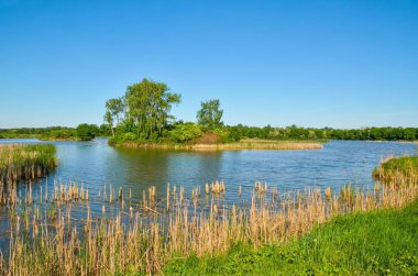 Güzel kırsal alan. Güzel bir gölette bahar günü.