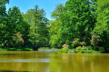Güzel yeşil bir bahar parkı. Köprü ve çiçekler parkta.