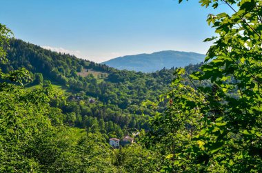 Bahar dağı manzarası. Yeşil tepelerin güzel manzarası.