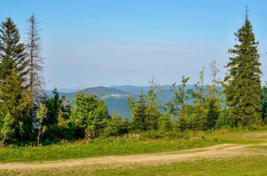 Bahar dağı manzarası. Yeşil tepelerin güzel manzarası.