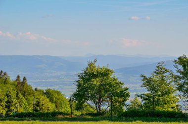 Bahar dağı manzarası. Yeşil tepelerin güzel manzarası.