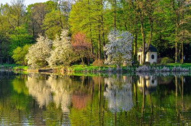 Güzel bahar doğası. Parktaki gölde renkli ağaçlar.