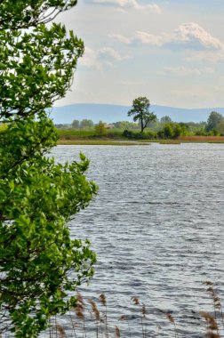 Güzel kırsal alan. Güzel bir gölette bahar günü.