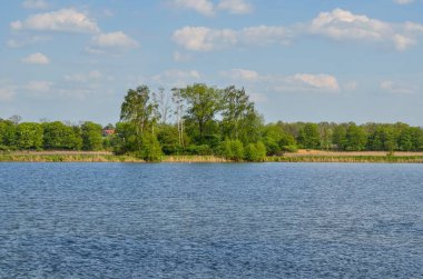 Güzel kırsal alan. Güzel bir gölette bahar günü.