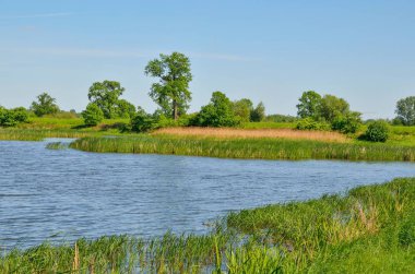 Güzel kırsal alan. Güzel bir gölette bahar günü.