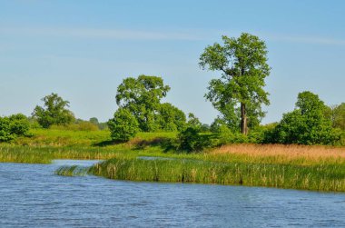 Güzel kırsal alan. Güzel bir gölette bahar günü.