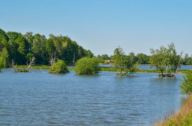 Güzel kırsal alan. Güzel bir gölette bahar günü.