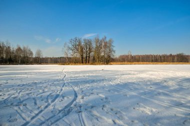 Kış manzarası. Adadaki ağaçlar donmuş bir gölde.