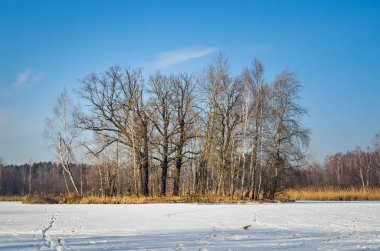 Kış manzarası. Adadaki ağaçlar donmuş bir gölde.