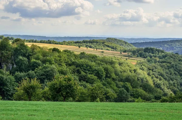 Sommar Kullar Landskap Vackra Gröna Jurassic Kullar Polen — Stockfoto
