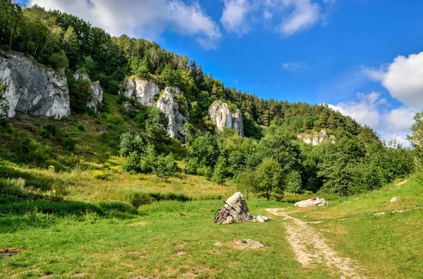 Słoneczny Letni Krajobraz Piękna Zielona Dolina Jurajska Polsce — Zdjęcie stockowe